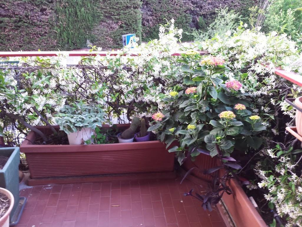 La Fontana Di Carlotta Bed & Breakfast โรม ภายนอก รูปภาพ